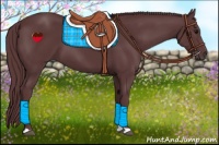 Horse Color:Chocolate Black
