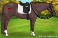 Horse Color:Chocolate Black 