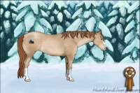 Horse Color:Smoky Black Pearl 