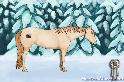 Horse Color:Buckskin Pearl 