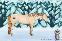 Horse Color:Buckskin Pearl