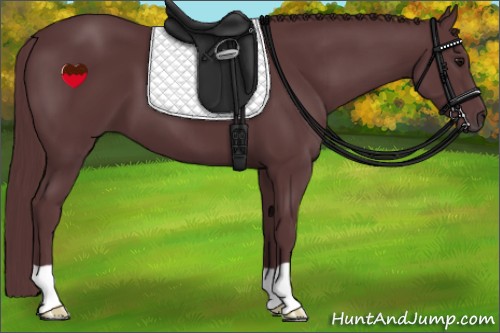 Horse Color:Chocolate Black 