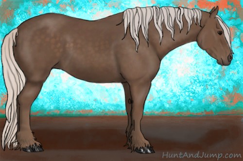 Horse Color:Silver Black Rabicano