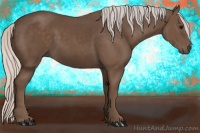 Horse Color:Silver Black Rabicano 