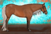 Horse Color:Silver Bay 