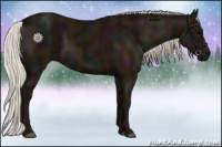 Horse Color:Midnight Silver Black 
