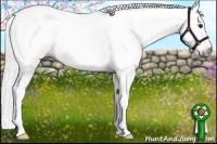 Horse Color:Gray Bay Tobiano 