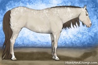 Horse Color:Classic Cream Champagne Ice Roan Dun Sabino 