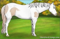 Horse Color:Smoky Black Pearl Splash Tobiano 