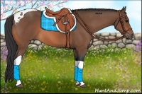 Horse Color:Bay Tobiano 