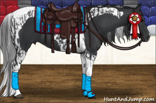 Horse Color:Black Tobiano and Black Tobiano