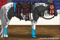 Horse Color:Black Tobiano  and Black Tobiano 