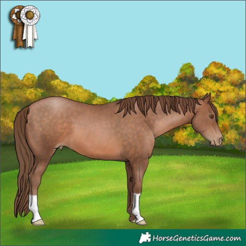 Horse Color:Brown Pearl