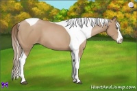 Horse Color:Black Pearl Splash Tobiano 