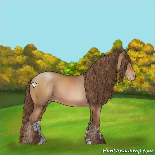 Horse Color:Brown Pearl Sabino 