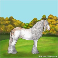 Horse Color:White Spotted Silver Classic Champagne 