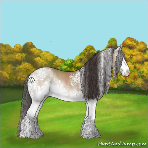 Horse Color:White Spotted Classic Champagne Sabino Rabicano 