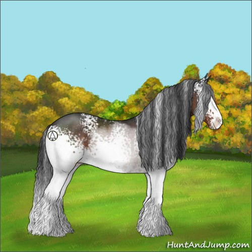 Horse Color:White Spotted Brown Sabino Rabicano 