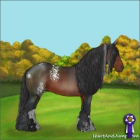 Horse Color:White Spotted Brown 