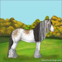 Horse Color:White Spotted Sable Champagne Sabino Rabicano 