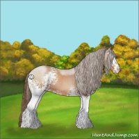 Horse Color:White Spotted Brown Pearl Tobiano 