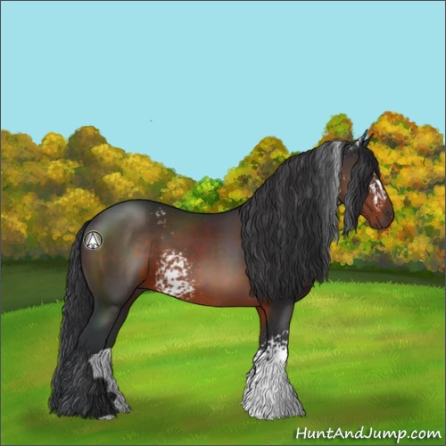 Horse Color:White Spotted Brown 