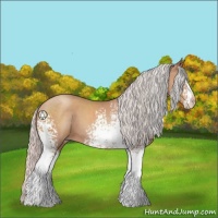 Horse Color:White Spotted Silver Sable Champagne Sabino 