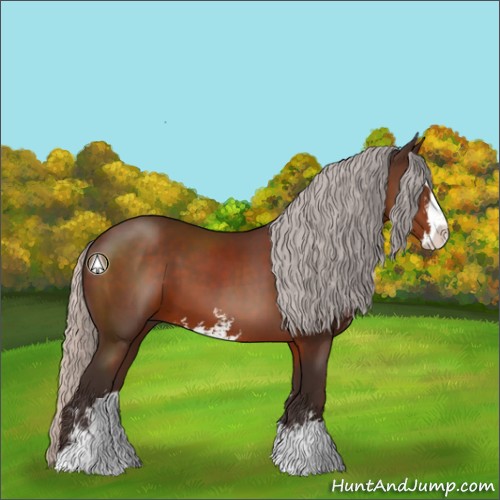 Horse Color:Silver Brown Sabino 