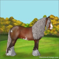 Horse Color:Silver Brown Sabino 