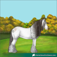 Horse Color:White Spotted Sable Champagne 