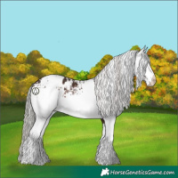 Horse Color:White Spotted Silver Brown Blanket 