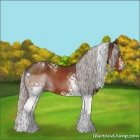 Horse Color:White Spotted Silver Brown Tobiano 