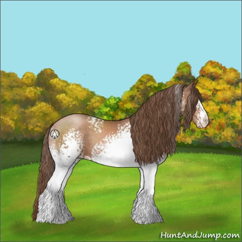 Horse Color:White Spotted Brown Pearl 