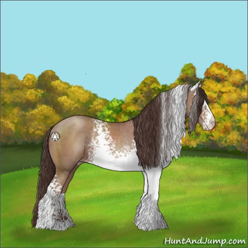 Horse Color:White Spotted Classic Champagne Rabicano 