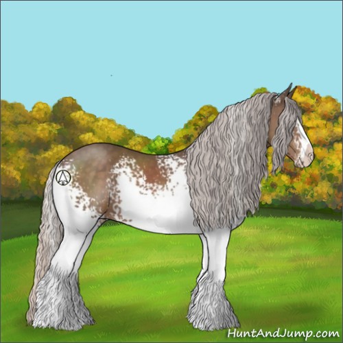 Horse Color:White Spotted Silver Black Sabino 
