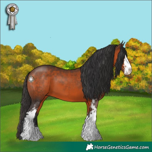 Horse Color:Brown Sabino