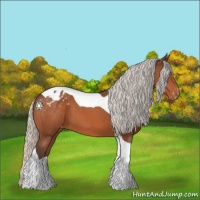 Horse Color:Silver Brown Tobiano Blanket