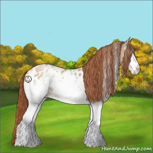 Horse Color:White Spotted Buckskin Pearl Blanket