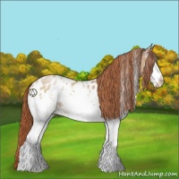 Horse Color:White Spotted Buckskin Pearl Blanket 