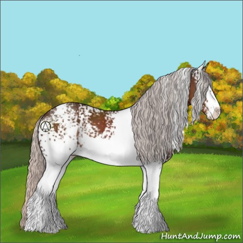 Horse Color:White Spotted Silver Brown Sabino 