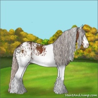 Horse Color:White Spotted Silver Brown Sabino 