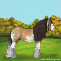 Horse Color:White Spotted Buckskin Dun Splash Rabicano 