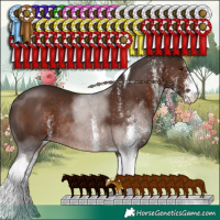 Horse Color:White Spotted Liver Chestnut Tobiano Rabicano