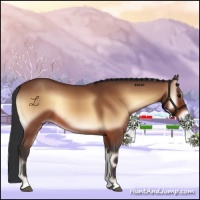 Horse Color:Bay Onyx 