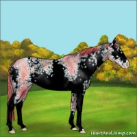 Horse Color:Watercolor White Spotted Liver Chestnut Ice Pearl 