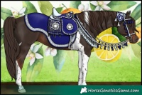 Horse Color:Liver Chestnut Tobiano 