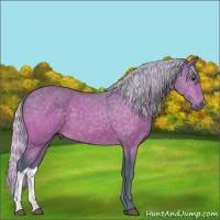 Horse Color:Watercolor Silver Brown 