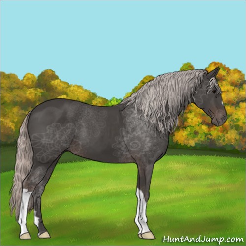 Horse Color:Silver Black
