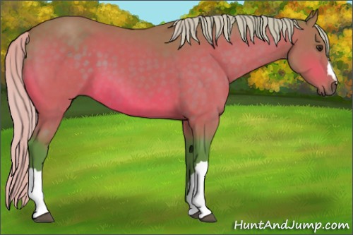 Horse Color:Watercolor Silver Brown 