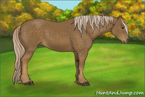 Horse Color:Chocolate Palomino